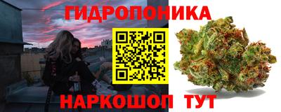 трава Кимры
