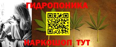 трава Кимры
