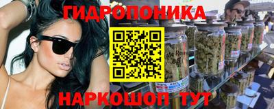спиды Кинель