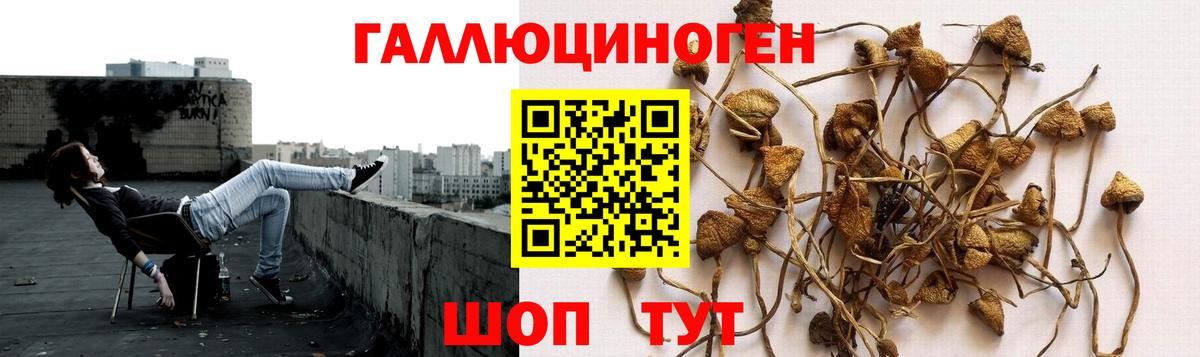 Псилоцибиновые грибы MAGIC MUSHROOMS Коряжма
